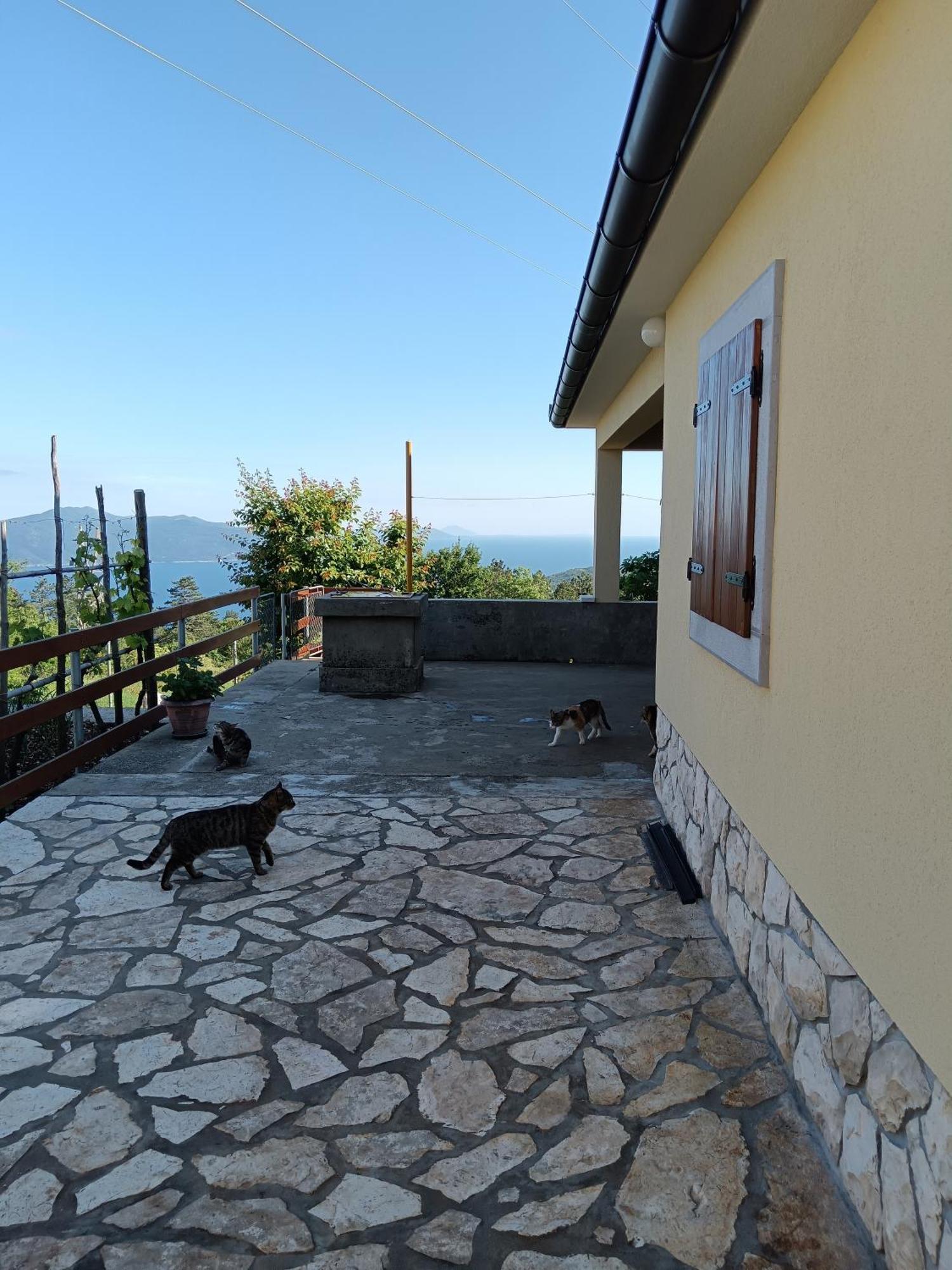 Vacation Home Marinici Moscenicka Draga Bagian luar foto
